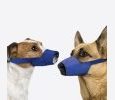 Antsnukis šunims – Quick muzzle