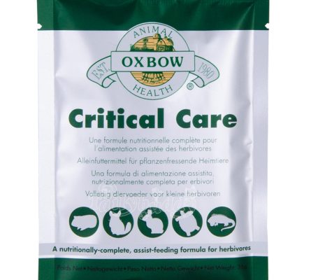 OXBOW Critical Care Anise – atstatantis papildas – žolėdžiams – 36g