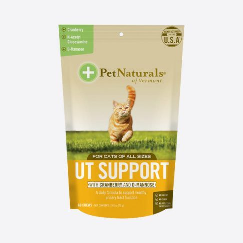 UT Support – papildas katėms – šlapimo takams – N60