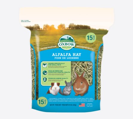OXBOW Alfalfa Hay – liucernos šienas graužikams