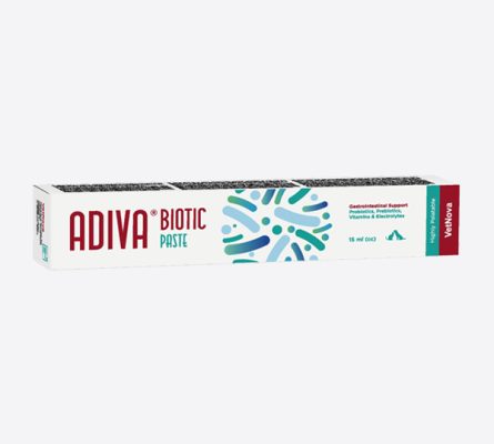 Adiva® Biotic Paste – pašaro papildas virškinimo trakto sistemai – 15ml