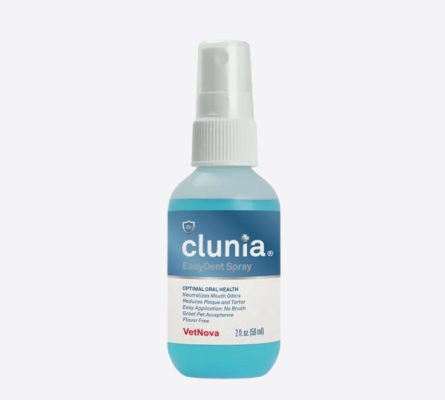 CLUNIA® EasyDent Spray – dantų ir burnos purškalas